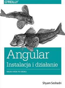 Picture of Angular instalacja i działanie Nauka krok po kroku