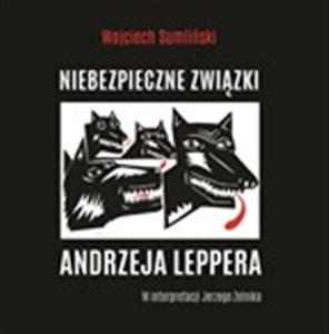 Picture of [Audiobook] CD MP3 Niebezpieczne związki Andrzeja Leppera
