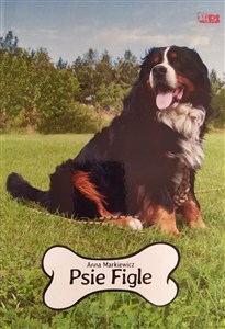 Obrazek Psie figle