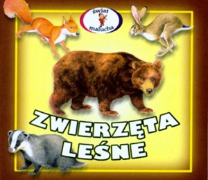 Picture of Zwierzęta leśne