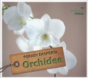 Orchidee P... - Folko Kullmann -  books in polish 