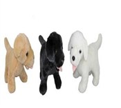 Pies 20X30... -  Książka z wysyłką do UK