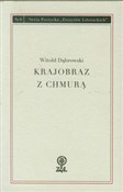 Krajobraz ... - Witold Dąbrowski -  books from Poland