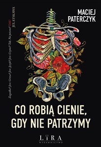 Picture of Co robią cienie, gdy nie patrzymy