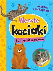 Picture of Wesołe kociaki Poznaję koty rasowe