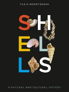 Picture of ADAMOWICZ, E: SHELLS