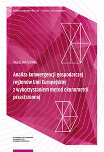 Obrazek Analiza konwergencji gospodarczej regionów Unii Europejskiej z wykorzystaniem metod ekonometrii przestrzennej