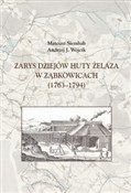 Książka : Zarys dzie... - Mateusz Siembab, Andrzej J. Wójcik