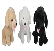 polish book : Pies 25x28...