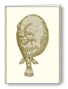 Notatnik o... -  Książka z wysyłką do UK