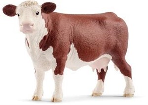 Obrazek Krowa rasy hereford SLH13867