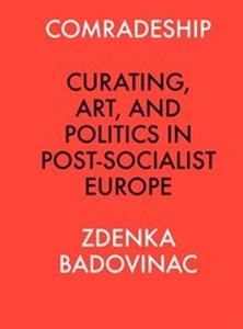 Obrazek Comradeship Curating, Art, and Politics in Post-Socialist Europe