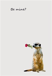 Picture of Notes Gee Be Mine line NARCISSUS