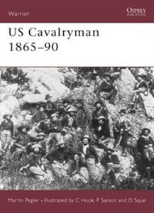 Picture of US Cavalryman 1865-90