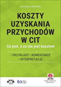 Obrazek Koszty uzyskania przychodów w CIT