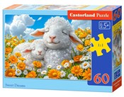 Książka : Puzzle 60 ...