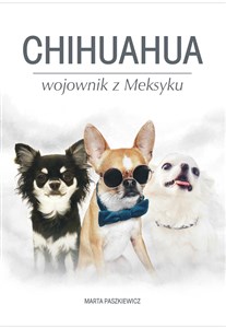 Obrazek Chihuahua wojownik z Meksyku