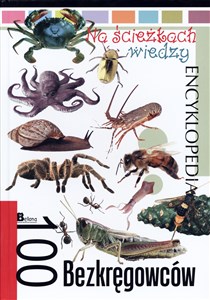 Picture of Encyklopedia Na ścieżkach wiedzy. 100 bezkręgowców