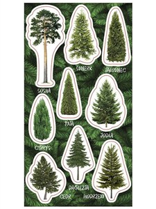 Picture of Naklejki Drzewa iglaste