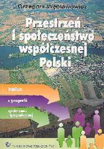 Picture of Przestrzeń i społeczeństwo współczesnej Polski Studium z geografii społeczno - gospodarczej