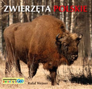 Picture of Poznajemy zwierzęta: Zwierzęta Polskie