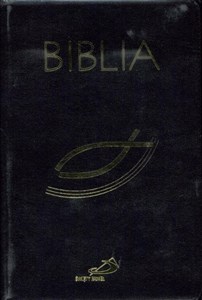 Obrazek Biblia z rybką z suwakiem czarna