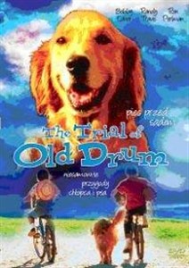 Picture of Pies przed sądem