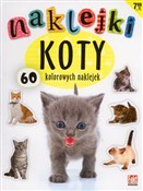 Koty. Nakl... - Opracowanie Zbiorowe -  books from Poland