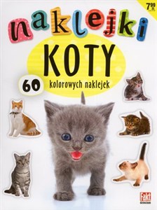 Obrazek Koty. Naklejki. Fakt dzieciom 5/2018
