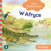 W Afryce K... - Ewa Stadtmüller - Ksiegarnia w UK