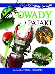 Picture of Odkrywanie świata Owady i pająki Zaskakujące fakty i ciekawostki