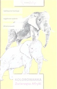 Obrazek Kolorowanka. Zwierzęta Afryki