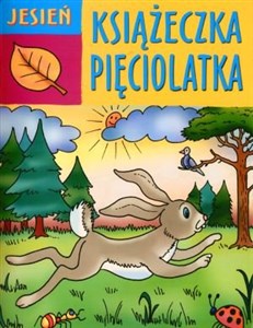 Picture of Książeczka pięciolatka