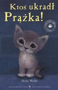 Obrazek Ktoś ukradł Prążka