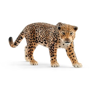 Obrazek Jaguar