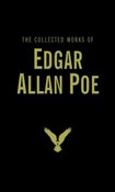 polish book : The Collec... - Edgar Allan Poe