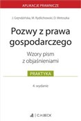 Rebel gra ... - Joanna Gręndzińska adw., Maciej Rydlichowski adw., dr Dominika Wetoszka SSO -  Polish Bookstore 