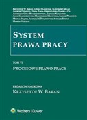 System pra... -  books from Poland