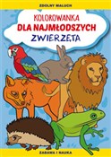 polish book : Kolorowank... - Patrycja Nowacka