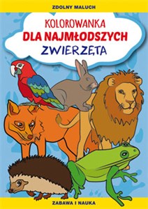 Picture of Kolorowanka dla najmłodszych Zwierzęta