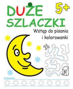 Picture of Duże szlaczki 5+ Wstęp do pisania i kolorowanki