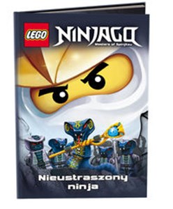 Obrazek LEGO Ninjago Nieustraszony ninja LNR5