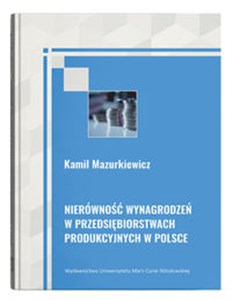 Obrazek Nierówność wynagrodzeń w przedsiębiorstwach produkcyjnych w Polsce