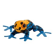 Żaba lisci... -  books from Poland