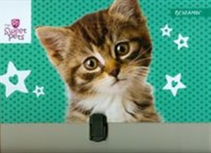 Picture of Teczka z rączką walizeczka Kot