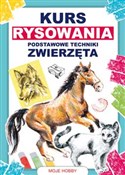 Kurs rysow... - Mateusz Jagielski -  Polish Bookstore 