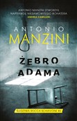 Książka : Żebro Adam... - Antonio Manzini