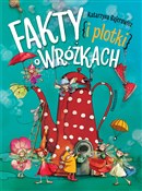 Fakty i pl... - Katarzyna Bajerowicz -  Polish Bookstore 