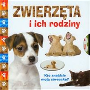 Picture of Zwierzęta i ich rodziny