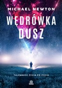 Polska książka : Wędrówka d... - Michael Newton